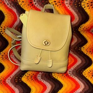 Vintage Coach Kiwi Daypack